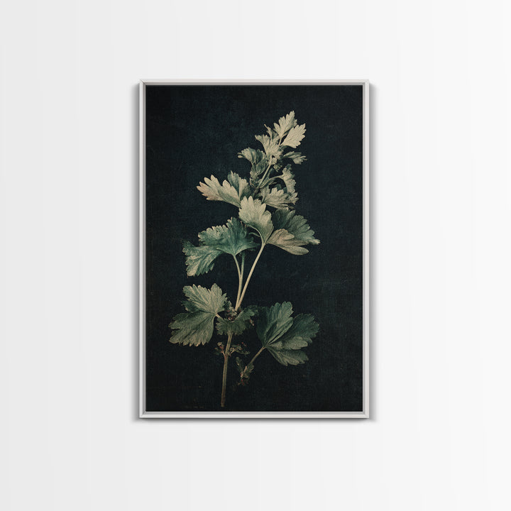 Black and White Botanical Specimen Plate Canvas Print, Black and White Art, Fine Art Print, Living Room Decor, Monochrome, BAW-2x3-7