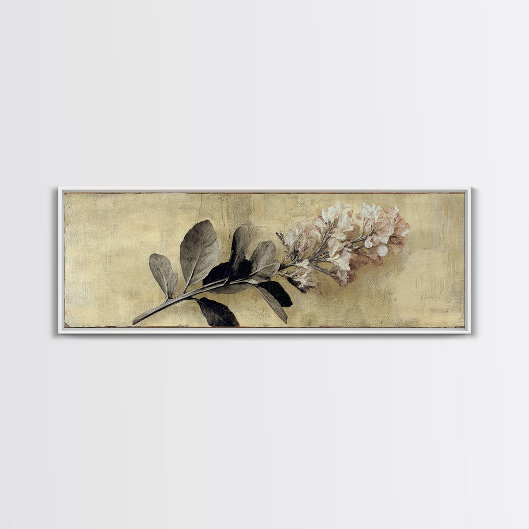 Black and White Botanical Specimen Plate Canvas Print, Black and White Art, Gallery Decor, Living Room Decor, Monochrome, BAW-3x1-15