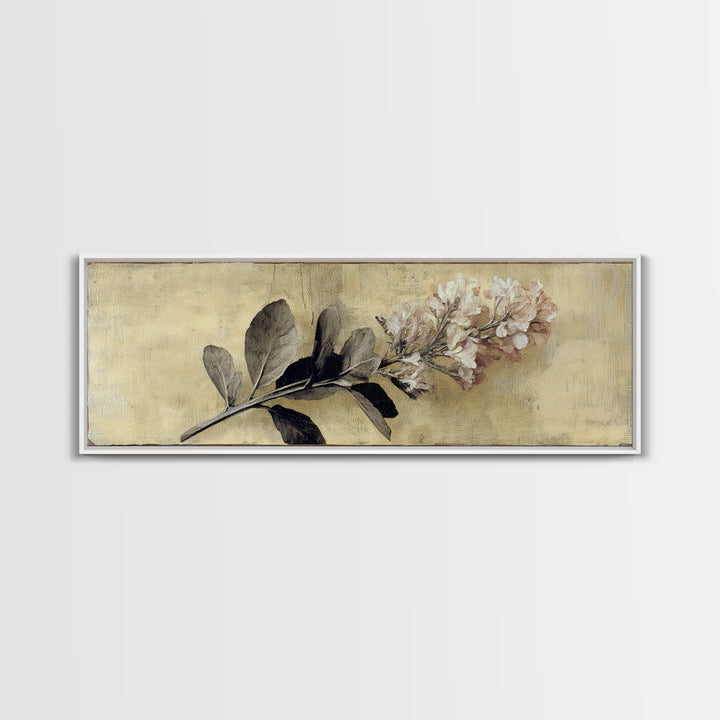 Black and White Botanical Specimen Plate Canvas Print, Black and White Art, Gallery Decor, Living Room Decor, Monochrome, BAW-3x1-15