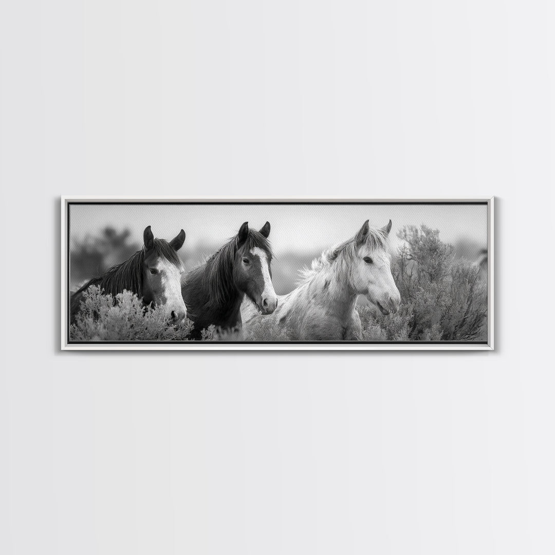 Black and White Wild Horse Portrait Framed Canvas Print, Black and White Art, Gallery Decor, Living Room Decor, Monochrome, BAW-3x1-69