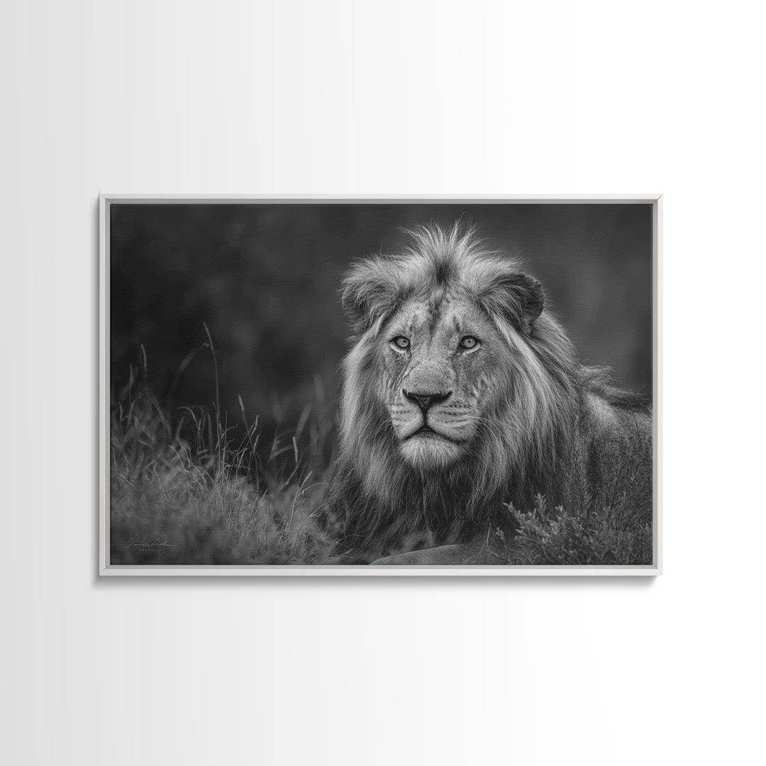 Dramatic Black and White Lion Portrait Canvas Print, Black and White Art, Photography Prints, Living Room Decor, Monochrome, BAW-3x2-21