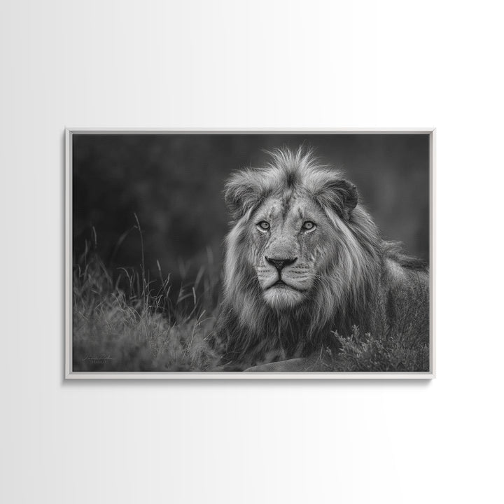 Dramatic Black and White Lion Portrait Canvas Print, Black and White Art, Photography Prints, Living Room Decor, Monochrome, BAW-3x2-21