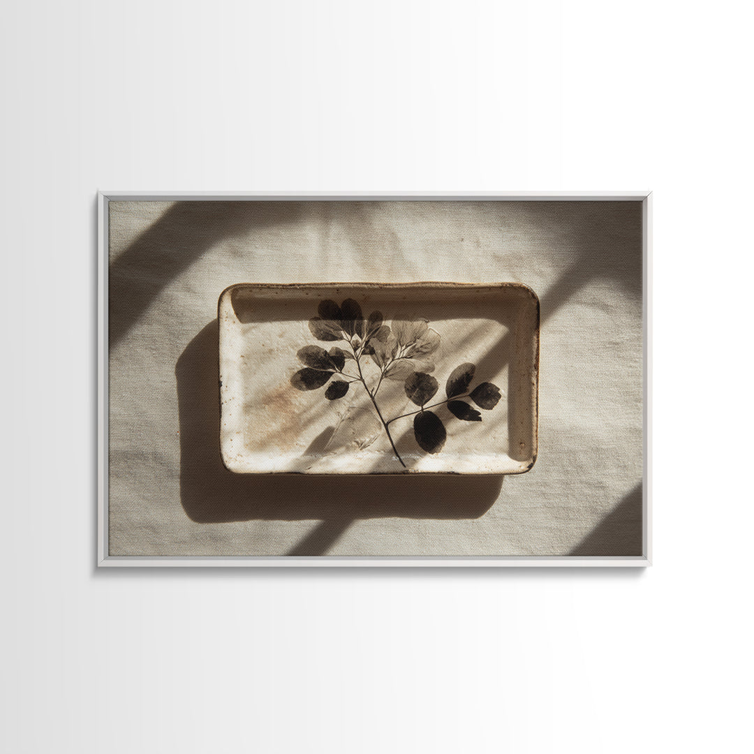 Black and White Botanical Specimen Plate Canvas Print, Black and White Art, Photography Prints, Living Room Decor, Monochrome, BAW-3x2-3