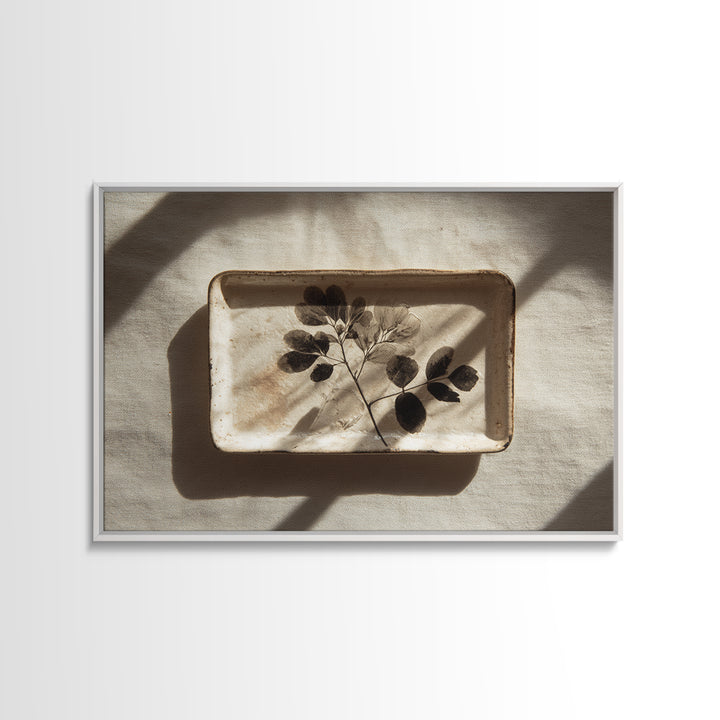 Black and White Botanical Specimen Plate Canvas Print, Black and White Art, Photography Prints, Living Room Decor, Monochrome, BAW-3x2-3