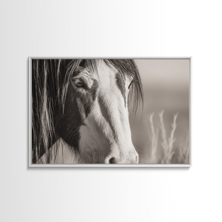 Black and White Wild Horse Portrait Canvas Print, Black and White Art, Fine Art Print, Living Room Decor, Monochrome, BAW-3x2-81