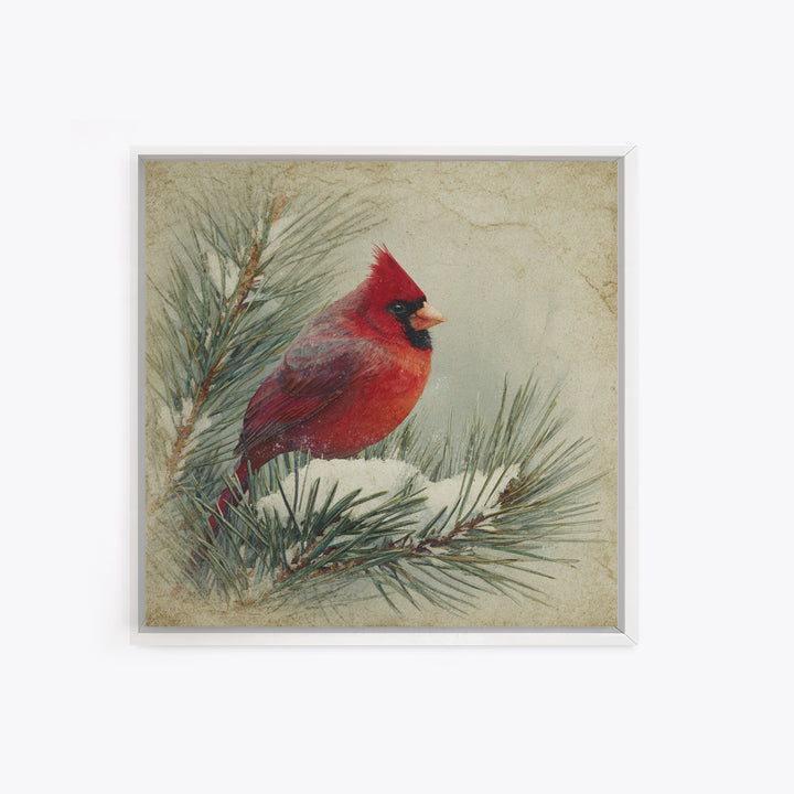 Red Cardinal on Snowy Pine Branch Framed Canvas Print, Bird Art, Nature Wall Art, Living Room Decor, Watercolor Art, Flight, BIR-1x1-1