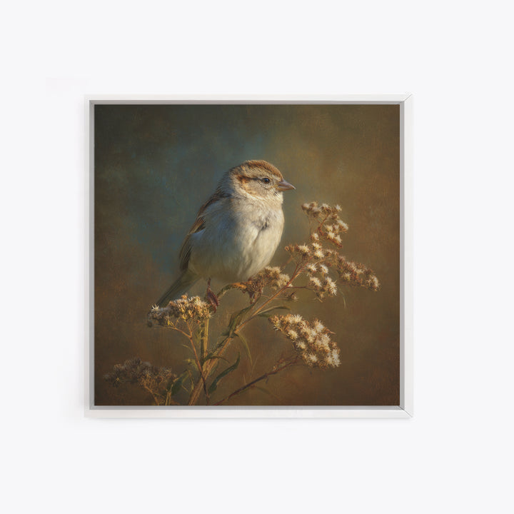 Small Sparrow on Wildflower Stem Canvas Print, Bird Art, Mid Century Wall Art, Living Room Decor, Flight, Fine Art Print, BIR-1x1-14