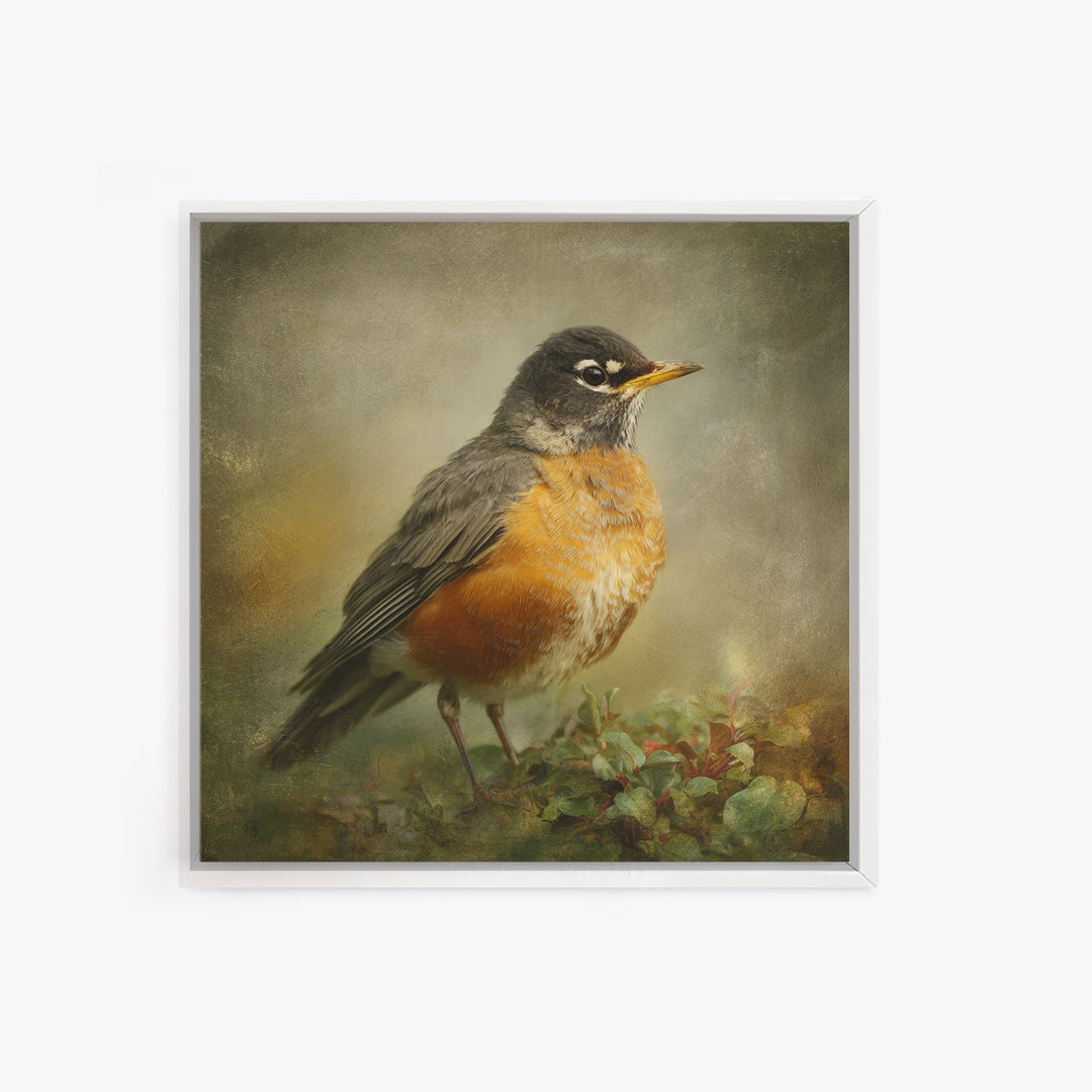 Robin in a Spring Garden with Soft Canvas Print, Bird Art, Japanese Wall Art, Living Room Decor, Watercolor Art, Flight, BIR-1x1-15