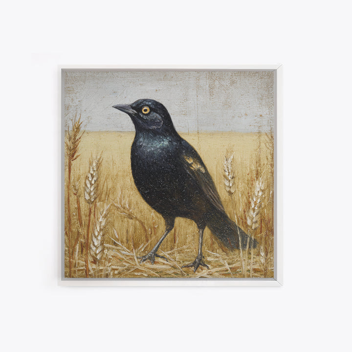 Blackbird on Gold Wheat Field Framed Canvas Print, Bird Art, Nature Prints, Living Room Decor, Watercolor Art, Flight, BIR-1x1-24