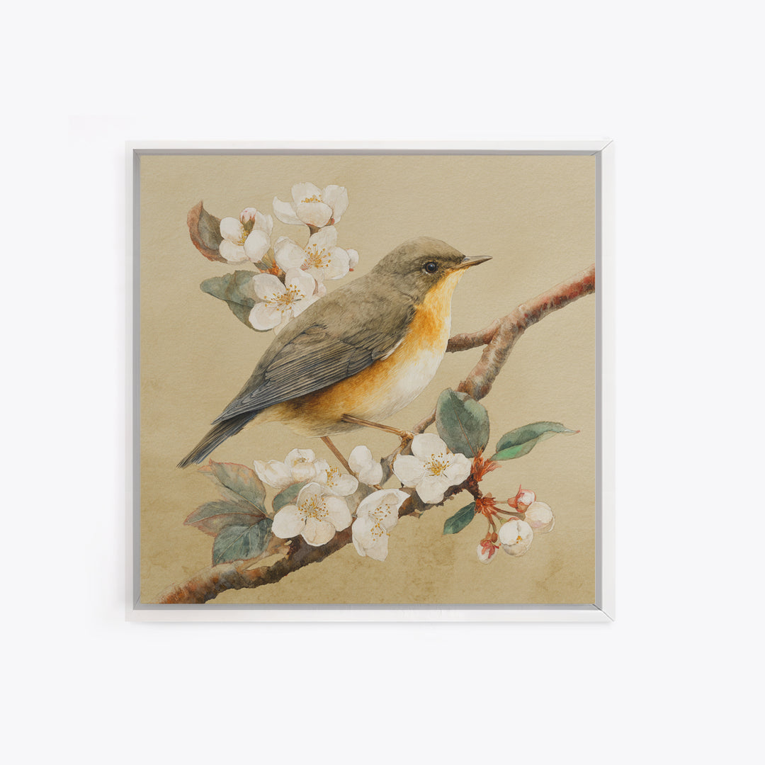 Songbird Perched on Cherry Blossoms Framed Canvas Print, Bird Art, Gallery Decor, Living Room Decor, Fine Art, Flight, BIR-1x1-32