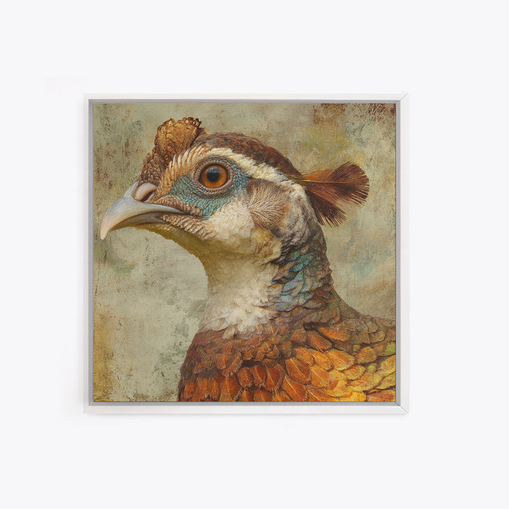 Pheasant with Ornate Feather Details Framed Canvas Print, Bird Art, Mcm Decor, Living Room Decor, Oil Painting, Flight, BIR-1x1-43