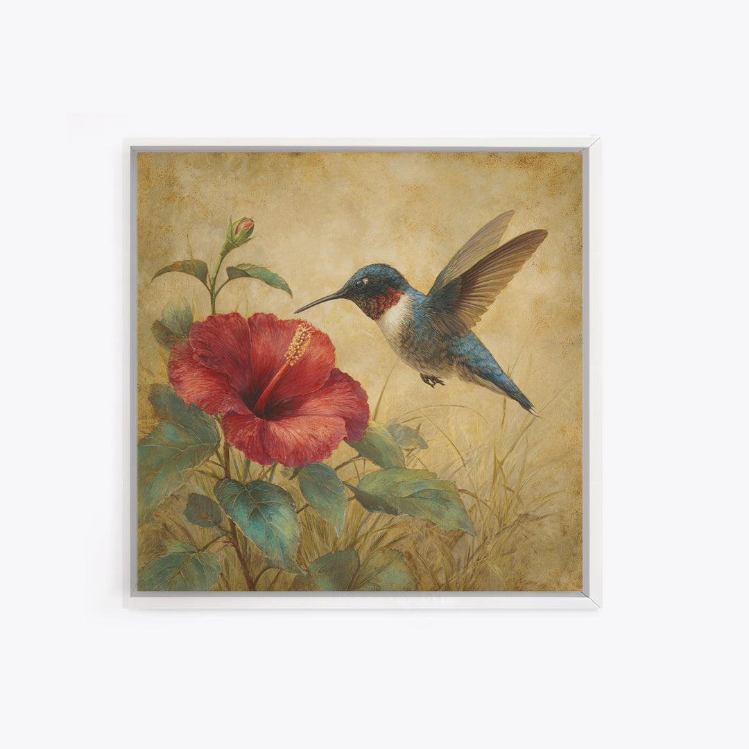 Hummingbird Hovering Beside Bright Hibiscus Framed Canvas Print, Bird Art, Gallery Wall, Living Room Decor, Fine Art, Flight, BIR-1x1-52