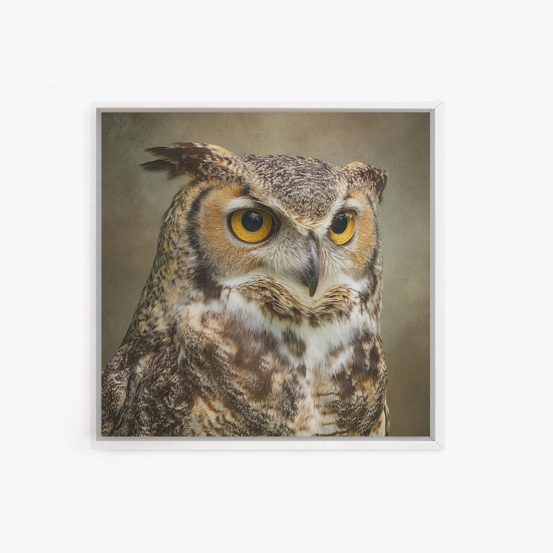 Owl Portrait with Wise Golden Eyes Framed Canvas Print, Bird Art, Fine Art Print, Living Room Decor, Fine Art, Flight, BIR-1x1-53