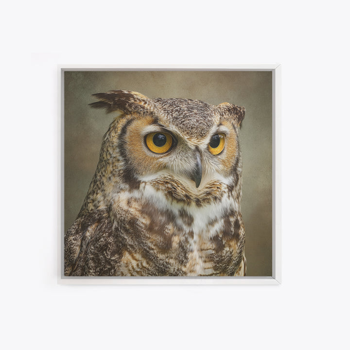 Owl Portrait with Wise Golden Eyes Framed Canvas Print, Bird Art, Fine Art Print, Living Room Decor, Fine Art, Flight, BIR-1x1-53