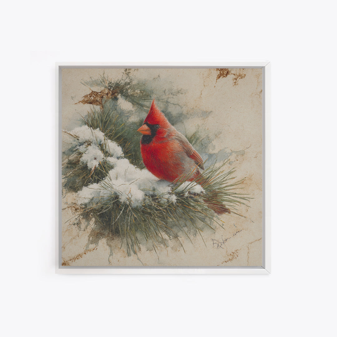 Red Cardinal on Snowy Pine Branch Framed Canvas Print, Bird Art, Art Print, Living Room Decor, Fine Art, Flight, Original Art, BIR-1x1-73