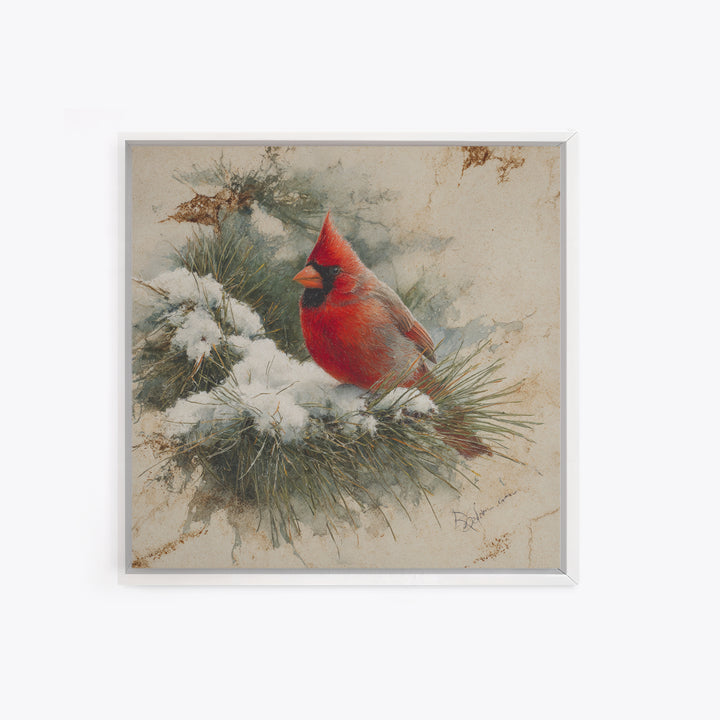 Red Cardinal on Snowy Pine Branch Framed Canvas Print, Bird Art, Art Print, Living Room Decor, Fine Art, Flight, Original Art, BIR-1x1-73