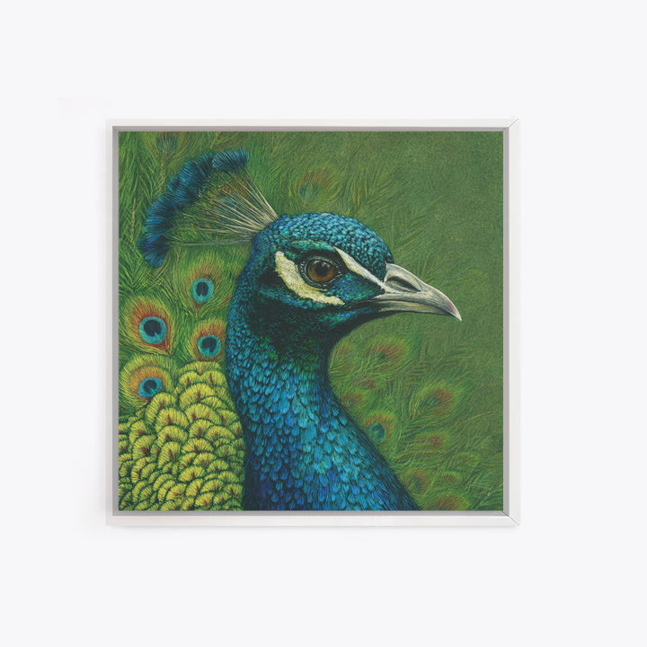 Peacock with Jewel Tone Feather Pattern Framed Canvas Print, Bird Art, Fine Art Print, Living Room Decor, Oil Painting, Flight, BIR-1x1-79
