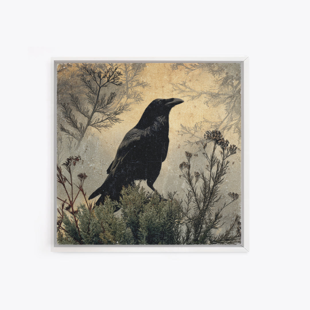 Raven Silhouette with Gothic Atmosphere Canvas Print, Bird Art, Textured Painting, Living Room Decor, Fine Art, Flight, BIR-1x1-81