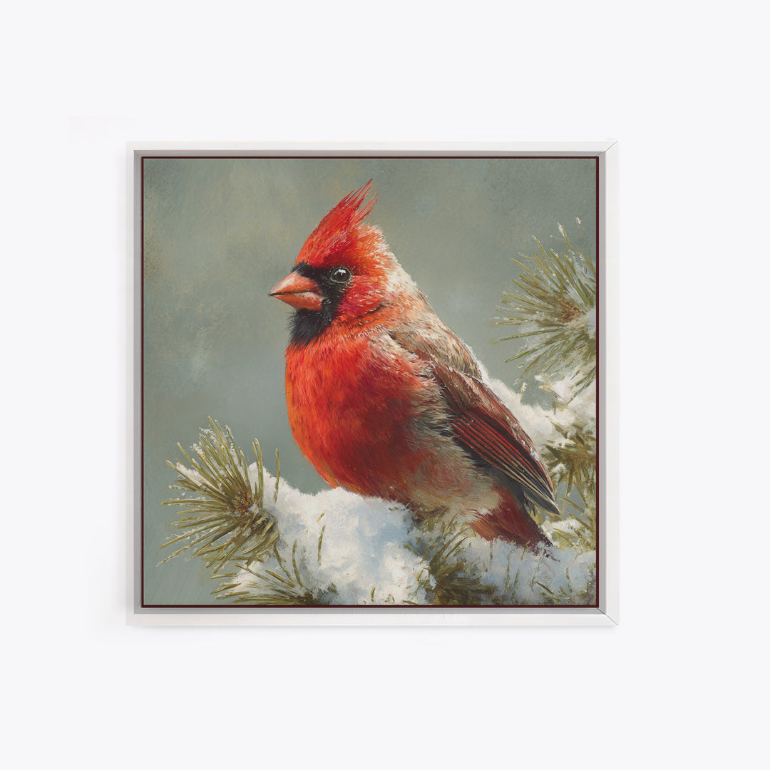 Red Cardinal on Snowy Pine Branch Canvas Print, Bird Art, Wall Art, Living Room Decor, Fine Art, Flight, Japanese Wall Art, BIR-1x1-97