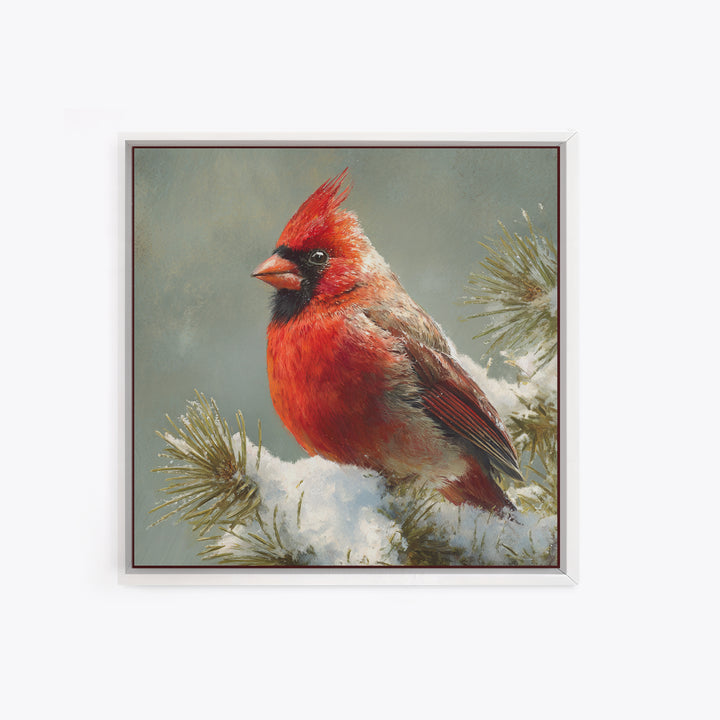 Red Cardinal on Snowy Pine Branch Canvas Print, Bird Art, Wall Art, Living Room Decor, Fine Art, Flight, Japanese Wall Art, BIR-1x1-97
