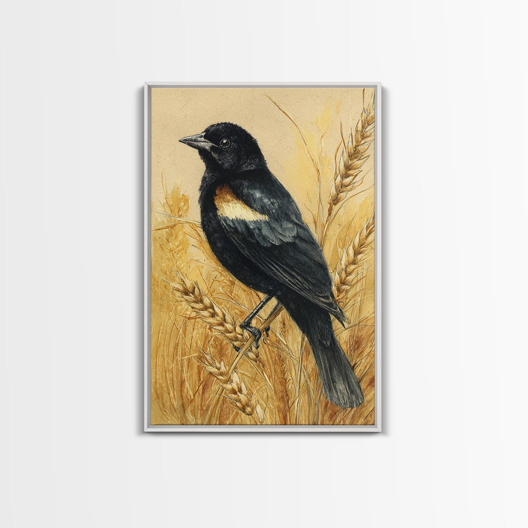 Blackbird on Gold Wheat Field Canvas Print, Bird Art, Bird Wall Art, Living Room Decor, Fine Art, Flight, Art Print, BIR-2x3-32