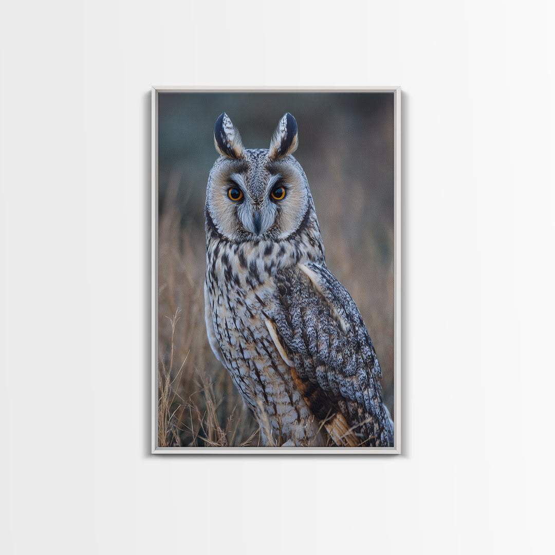 Owl Portrait with Wise Golden Eyes Framed Canvas Print, Bird Art, Digital Prints, Living Room Decor, Fine Art, Flight, BIR-2x3-37