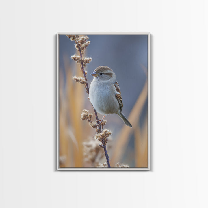 Small Sparrow on Wildflower Stem Framed Canvas Print, Bird Art, Textured Painting, Living Room Decor, Fine Art, Flight, BIR-2x3-46