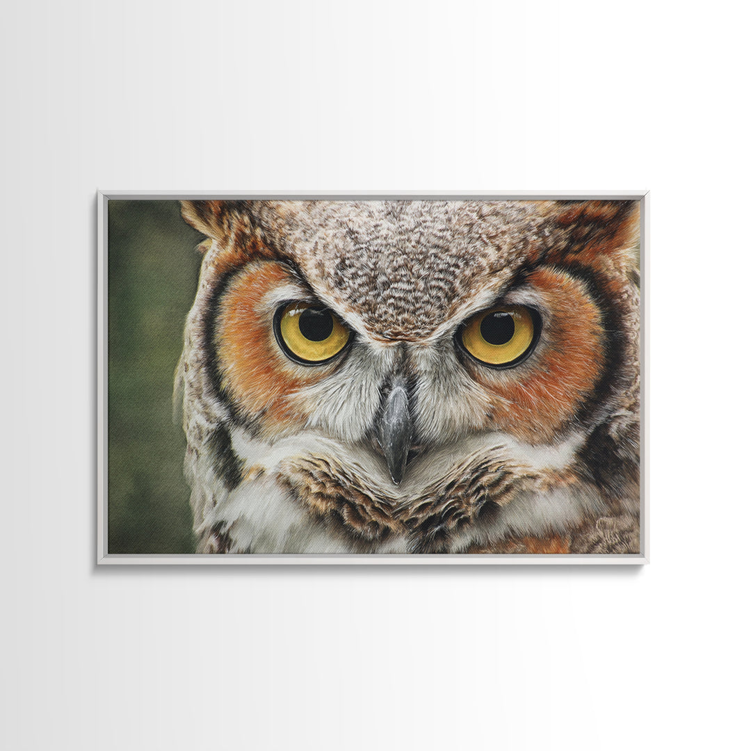 Owl Portrait with Wise Golden Eyes Canvas Print, Bird Art, Bird Prints, Living Room Decor, Fine Art, Flight, Modern Decor, BIR-3x2-33