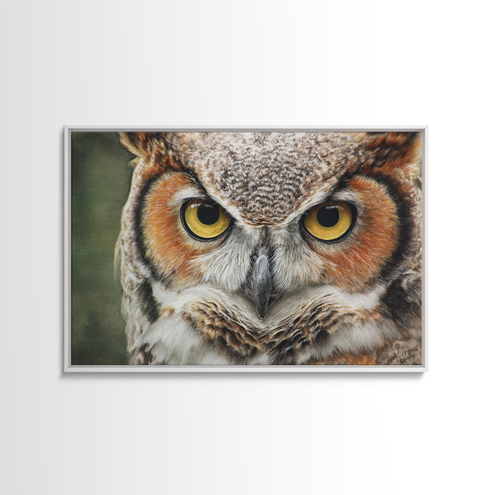 Owl Portrait with Wise Golden Eyes Canvas Print, Bird Art, Bird Prints, Living Room Decor, Fine Art, Flight, Modern Decor, BIR-3x2-33
