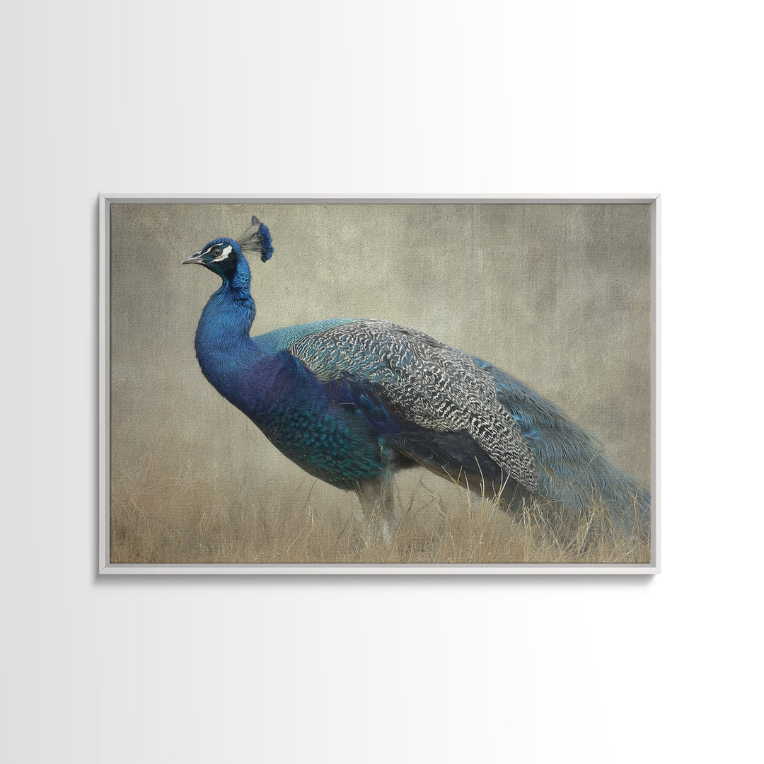 Peacock with Jewel Tone Feather Pattern Framed Canvas Print, Bird Art, Art Print, Living Room Decor, Oil Painting, Flight, BIR-3x2-59