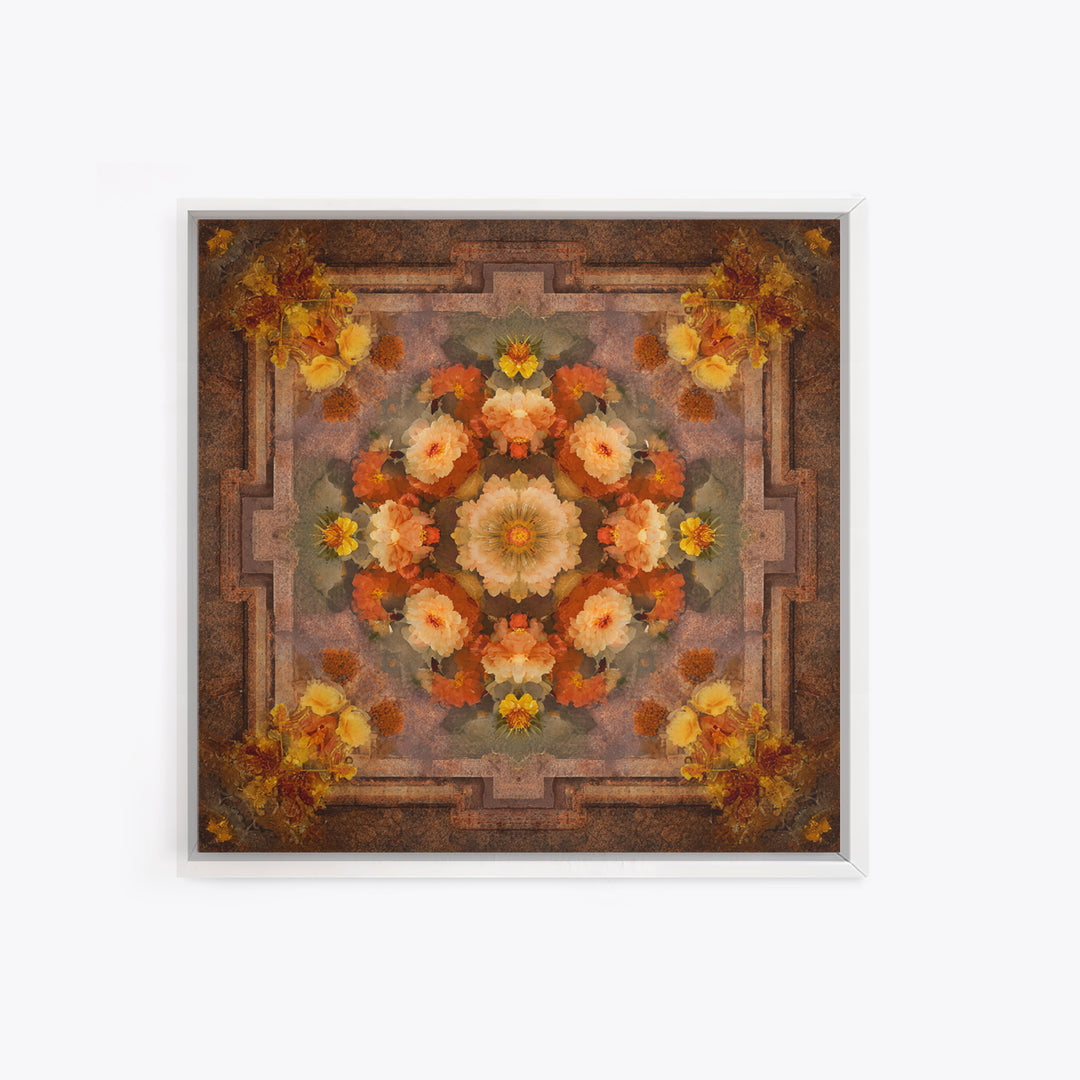 Burnt Orange Floral Field at Sunset Framed Canvas Print, Boho Art, Contemporary Art, Living Room Decor, Fine Art, Bohemian, BOH-1x1-61