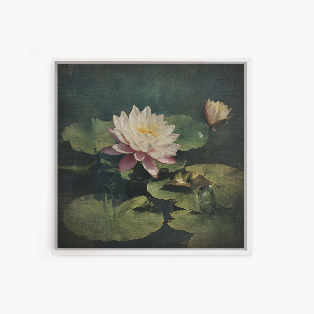 Lotus Flower and Lily Pads on Still Canvas Print, Botanical Art, Framed Wall Art, Living Room Decor, Fine Art, Botanic, BOT-1x1-19