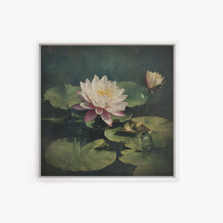 Lotus Flower and Lily Pads on Still Canvas Print, Botanical Art, Framed Wall Art, Living Room Decor, Fine Art, Botanic, BOT-1x1-19