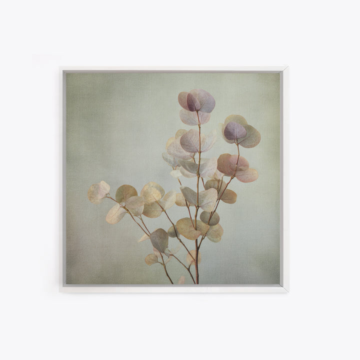 Eucalyptus Stems in Soft Sage Tones Canvas Print, Botanical Art, Gallery Decor, Living Room Decor, Fine Art, Botanic, BOT-1x1-59