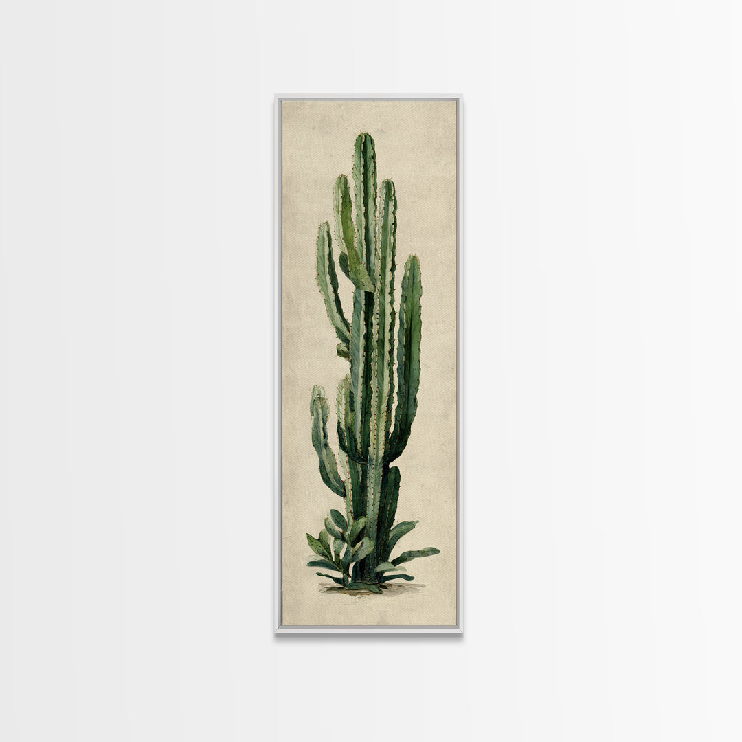 Cactus Botanical Plate Canvas Print, Botanical Art, Digital Wall Art, Living Room Decor, Oil Painting, Botanic, BOT-1x3-73