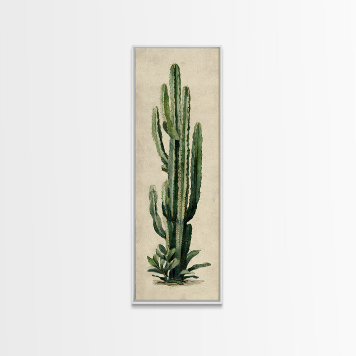 Cactus Botanical Plate Canvas Print, Botanical Art, Digital Wall Art, Living Room Decor, Oil Painting, Botanic, BOT-1x3-73