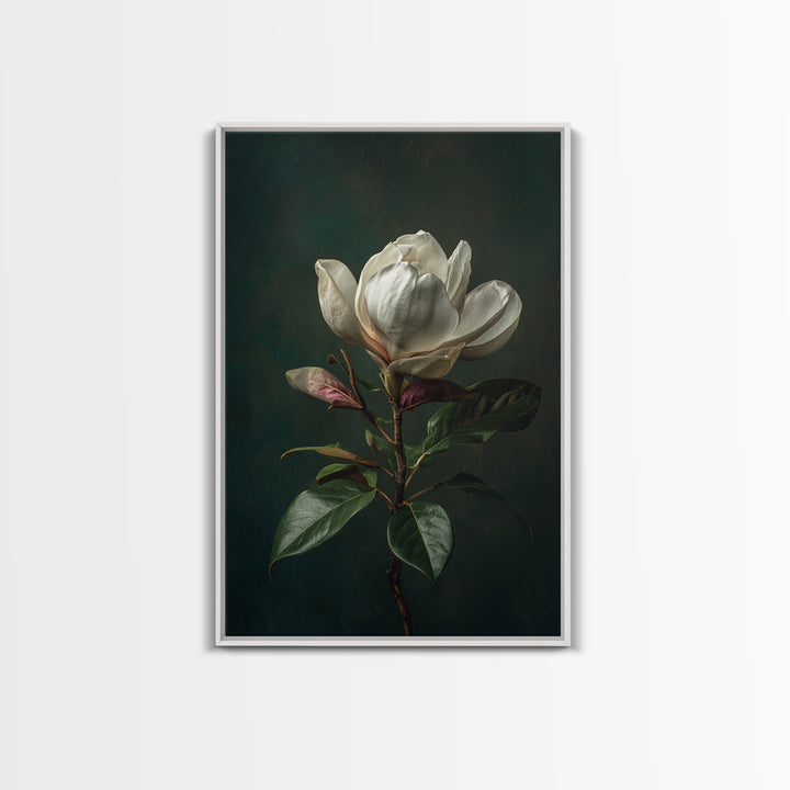 Dramatic White Magnolia on Dark Background Canvas Print, Botanical Art, Wall Art, Living Room Decor, Watercolor Art, Botanic, BOT-2x3-14