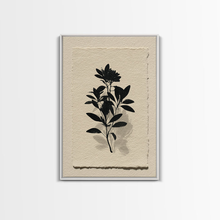 Black Ink Botanical Silhouette on Cream Paper Canvas Print, Botanical Art, Living Room Decor, Watercolor Art, Botanic, BOT-2x3-29