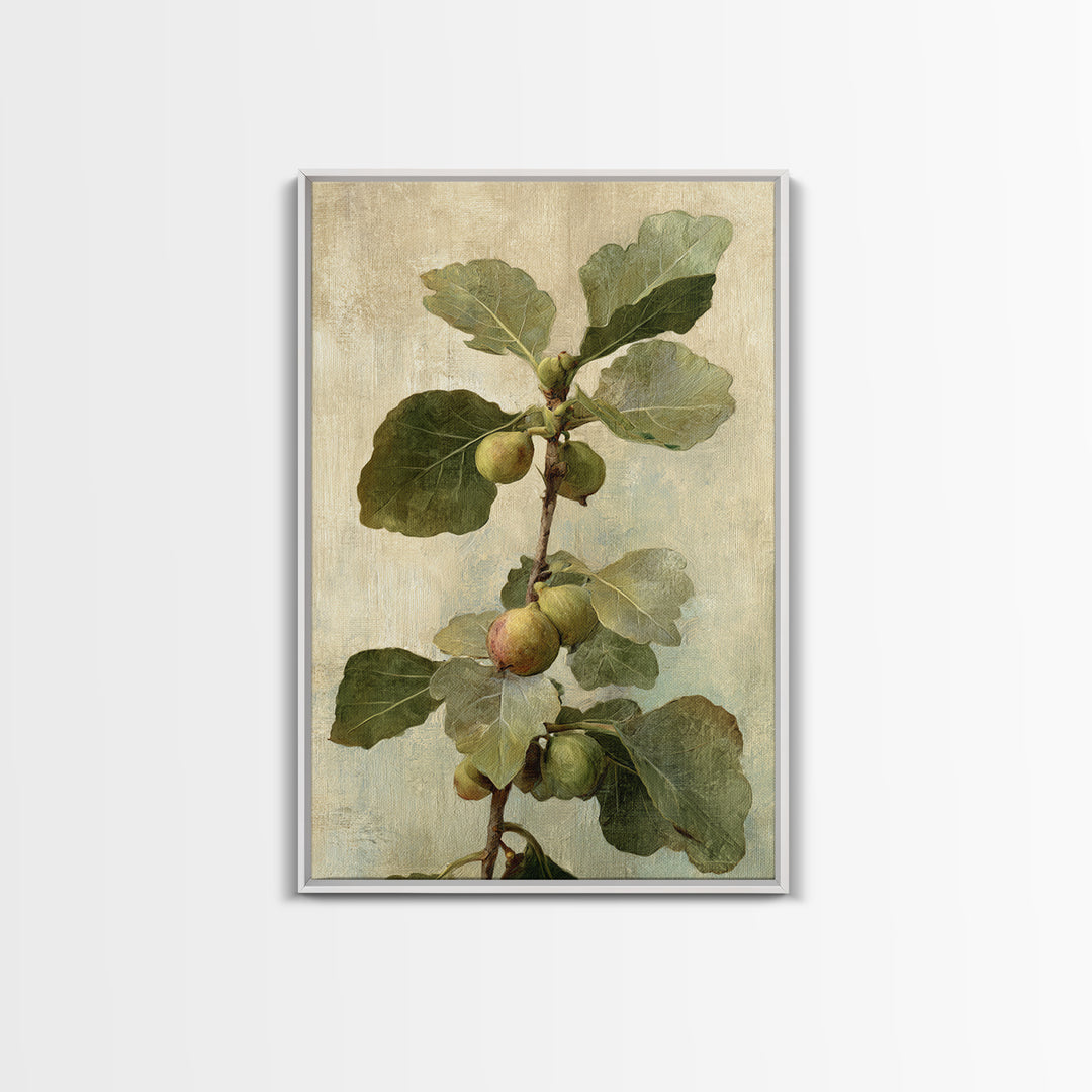Fig Branch with Fruit and Broad Leaves Framed Canvas Print, Botanical Art, Oil Painting, Living Room Decor, Fine Art, Botanic, BOT-2x3-47