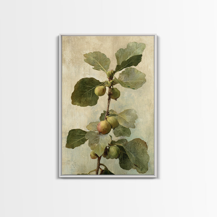 Fig Branch with Fruit and Broad Leaves Framed Canvas Print, Botanical Art, Oil Painting, Living Room Decor, Fine Art, Botanic, BOT-2x3-47