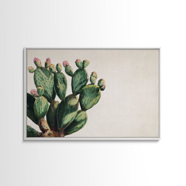 Cactus Botanical Plate Framed Canvas Print, Botanical Art, Living Room Wall Art, Living Room Decor, Fine Art, Botanic, BOT-3x2-65