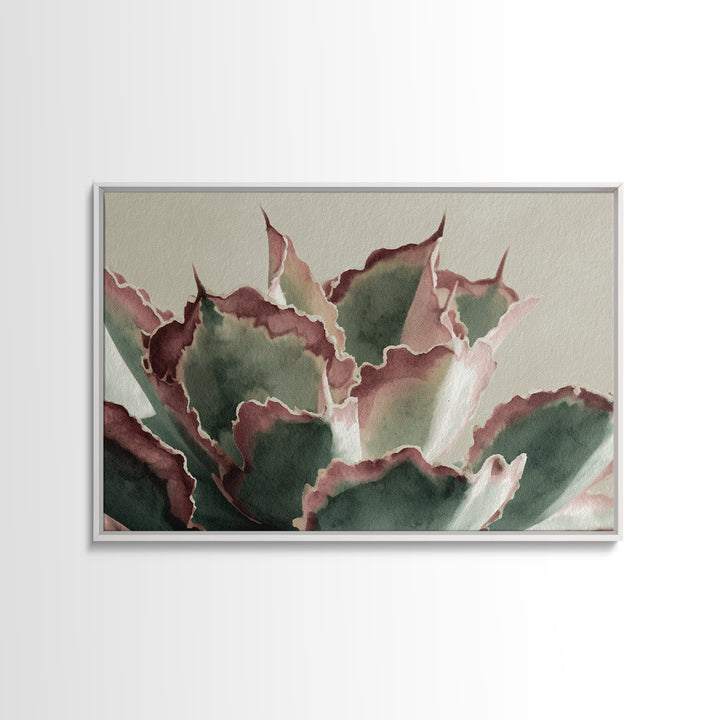 Cactus Botanical Plate Canvas Print, Botanical Art, Boho Decor, Living Room Decor, Fine Art, Botanic, Art Print, Digital Art, BOT-3x2-89