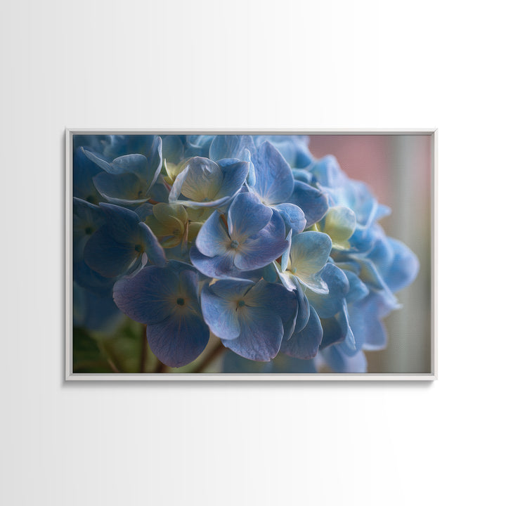 Blue Hydrangea Cluster Canvas Print, Botanical Art, Modern Wall Art, Living Room Decor, Fine Art, Botanic, Textured Painting, BOT-3x2-94