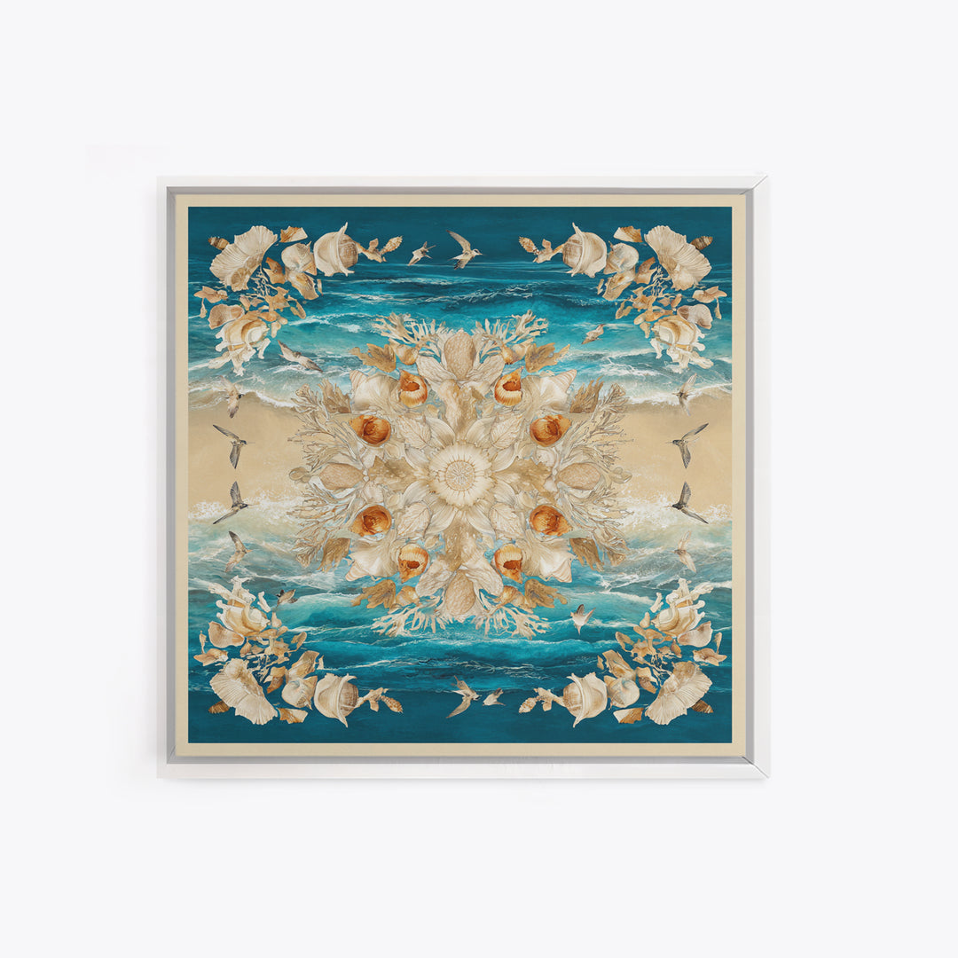 Shell and Coral Specimen Arrangement Framed Canvas Print, Coastal Art, Statement Artwork, Coastal Decor, Fine Art, Coastal, COA-1x1-83