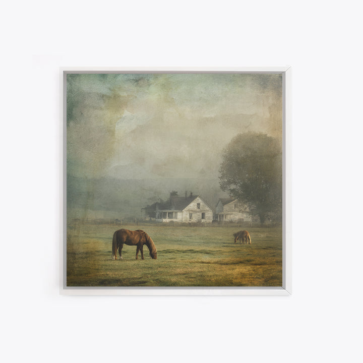 Rolling Pasture with Grazing Horses at Sunrise Framed Canvas Print, Country Art, Farmhouse Wall Art, Farmhouse Decor, Country, COU-1x1-1