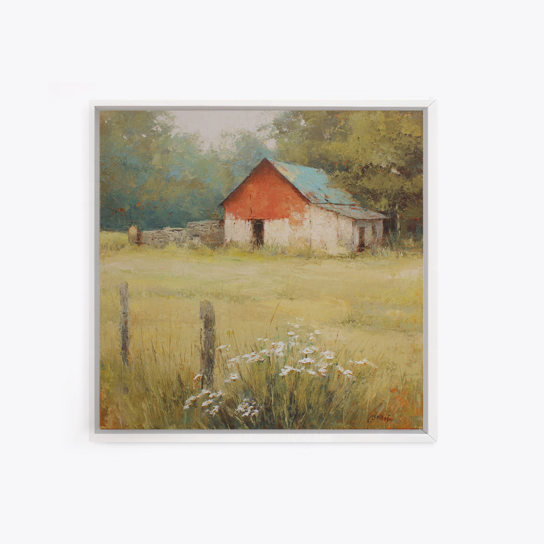 Apple Orchard with Warm Autumn Light Framed Canvas Print, Country Art, Gallery Decor, Farmhouse Decor, Fine Art, Country, COU-1x1-78