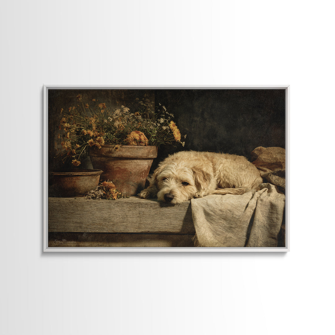 Dog Resting Beside a Porch Flower Pot Framed Canvas Print, Country Art, Farmhouse Decor, Fine Art, Country, Gallery Wall Art, COU-3x2-74