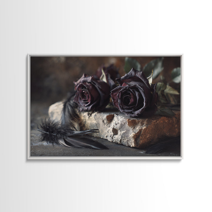 Black Roses Blooming from Cracked Stone Framed Canvas Print, Dark Art, Watercolor Painting, Living Room Decor, Nocturne, DAR-3x2-6