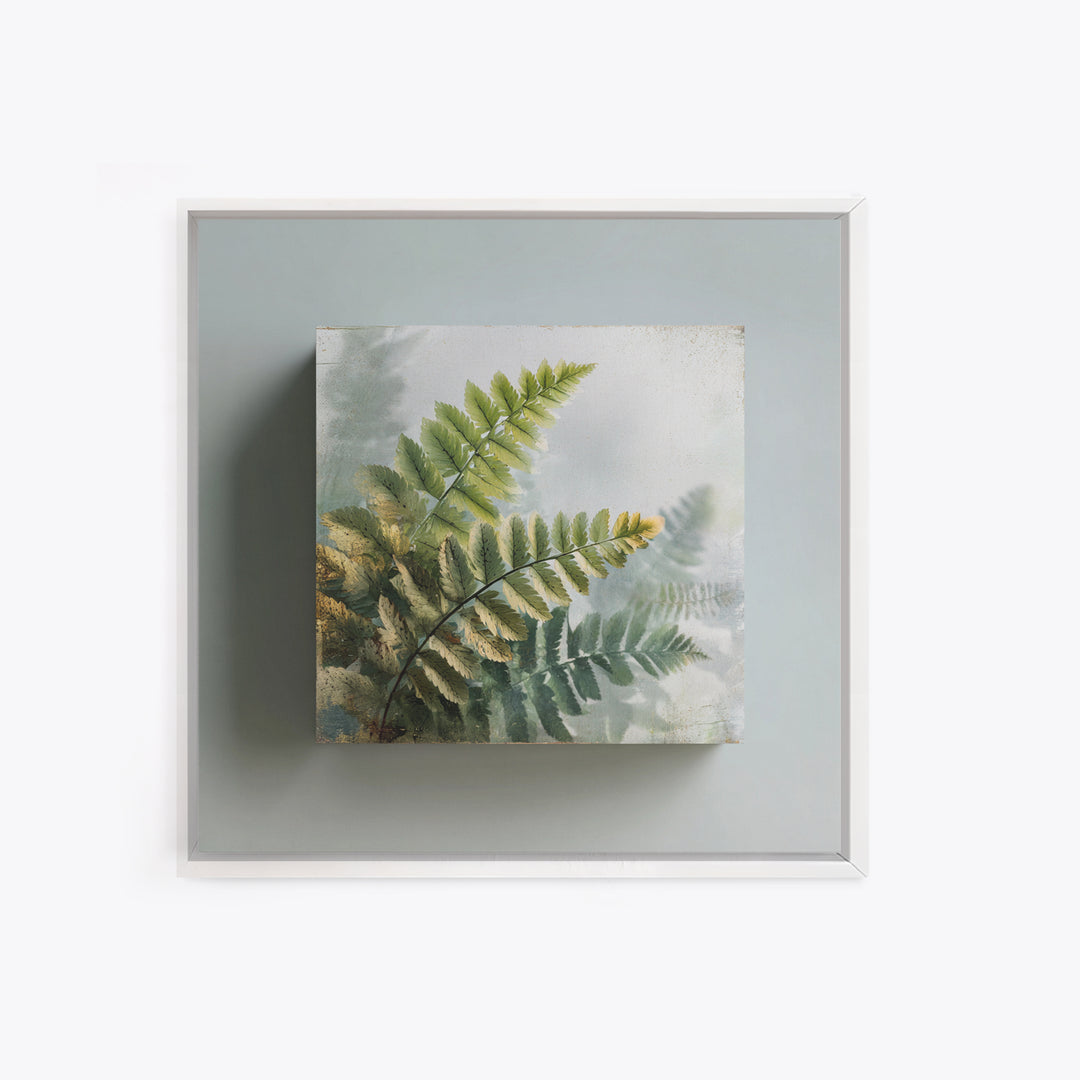 Botanical Fern Study Canvas Print, Dental Office Art, Dental, Office Decor, Fine Art, Calm, Tooth Art, Dentistry Art, DOA-1x1-19
