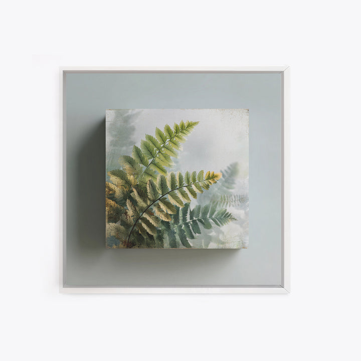 Botanical Fern Study Canvas Print, Dental Office Art, Dental, Office Decor, Fine Art, Calm, Tooth Art, Dentistry Art, DOA-1x1-19